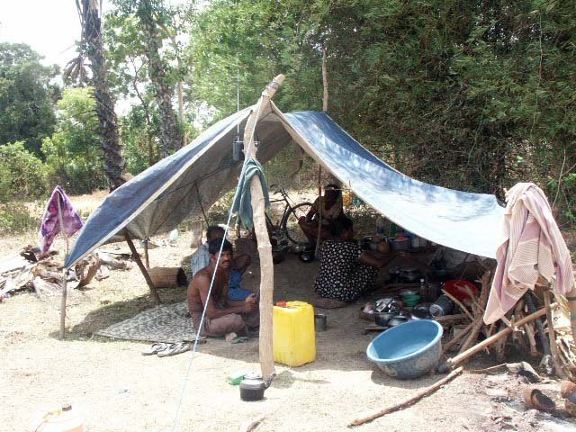 File:Shelter from tarp and sticks.jpg