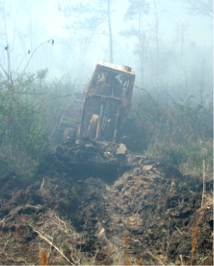 File:Fireplow0179.JPG