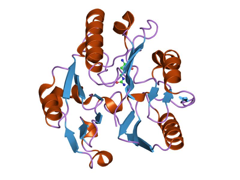 File:PDB 1h70 EBI.jpg