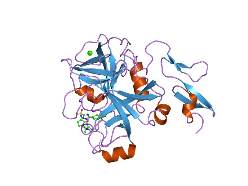 File:PDB 2j94 EBI.jpg