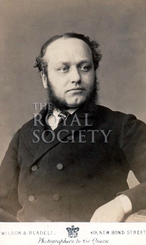 File:Thomas Buzzard carte-de-visite by Wilson & Beadell.jpg