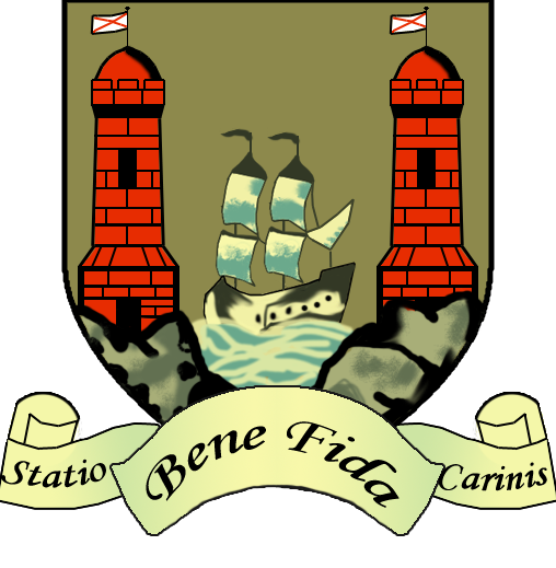 File:Corkcitycouncil.png