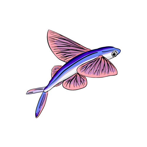 File:Flying Fish.png