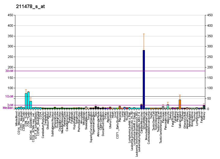 File:PBB GE DPP4 211478 s at fs.png