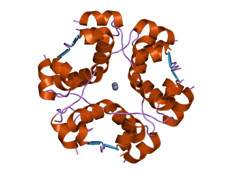 File:PDB 1os4 EBI.jpg