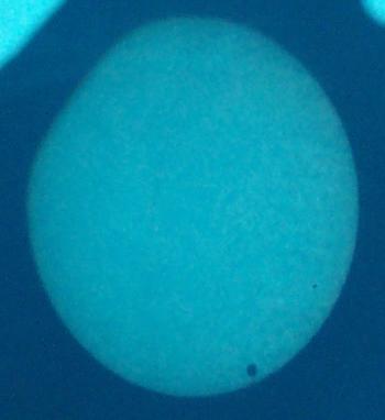 File:Venustransit.jpg