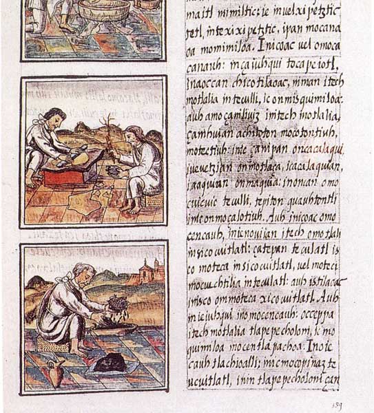 Файл:Codex florentino 51 9.jpg