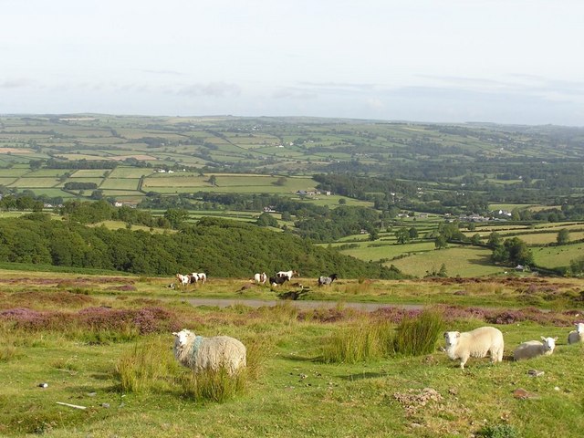 File:Mynydd Llanllwni - geograph.org.uk - 388950.jpg