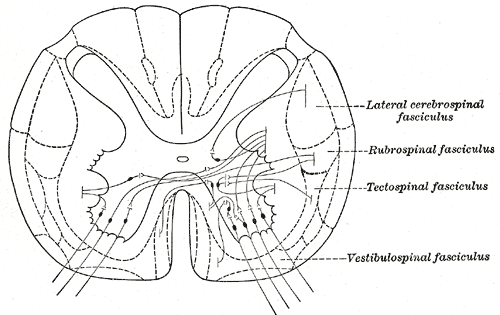 File:Gray670.png