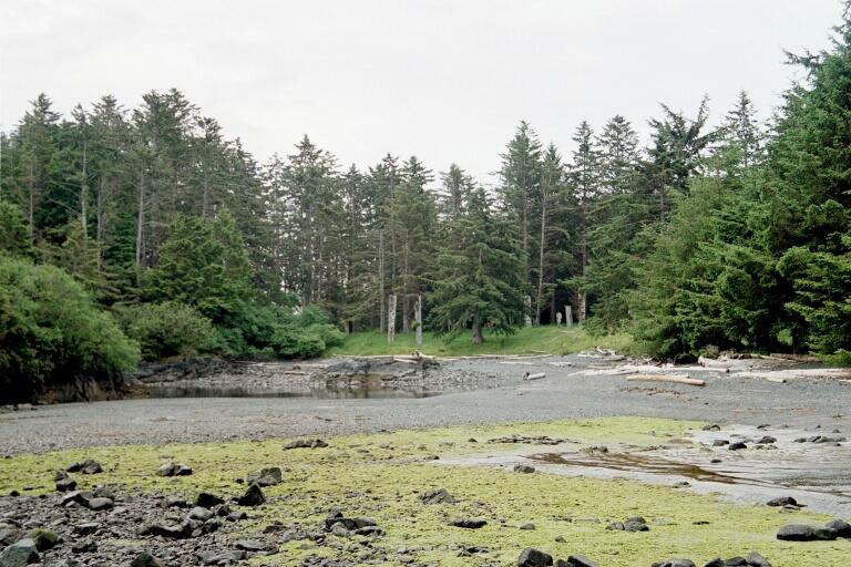 Файл:Haida villagesite.jpg