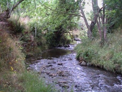 File:Kaikorai Stream.jpg