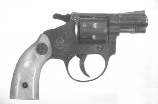 File:Revolver R7 by Caramuru, FAM.png