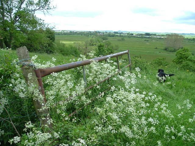 File:Westonzoyland from Windmill Hill.jpg