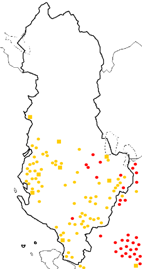 File:Aromanians in Albania.png