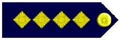 File:Latvian Police Captain Rank.png