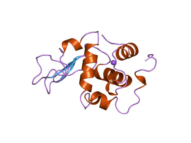 File:PDB 2bqn EBI.jpg