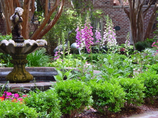 File:Typical Savannah Garden.jpg