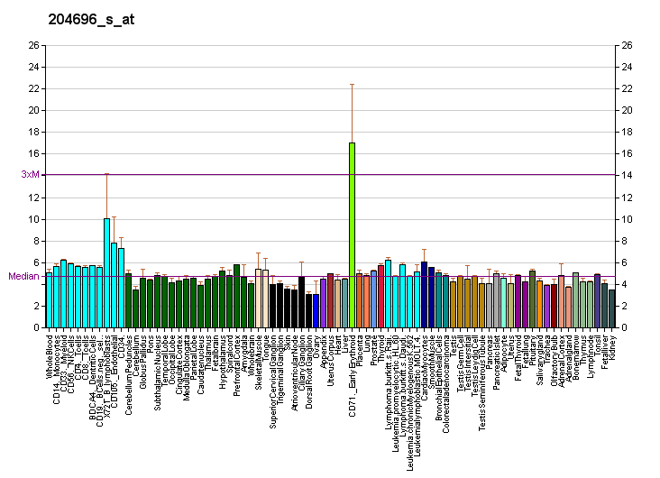 File:PBB GE CDC25A 204696 s at fs.png