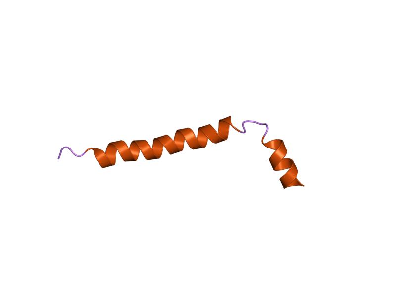 File:PDB 1hj0 EBI.jpg