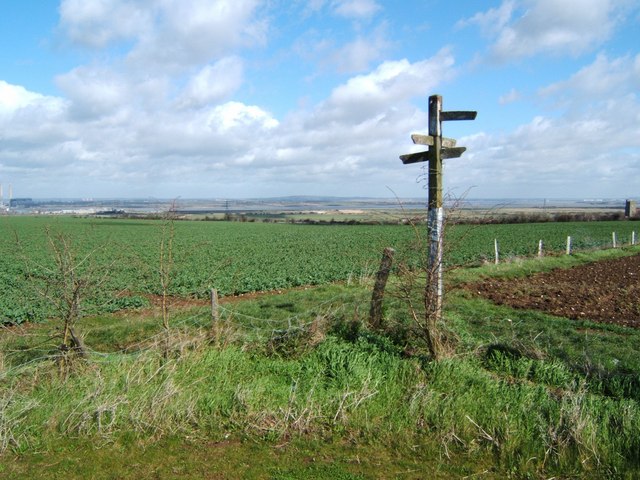 File:Spoiled for Choice - geograph.org.uk - 145591.jpg