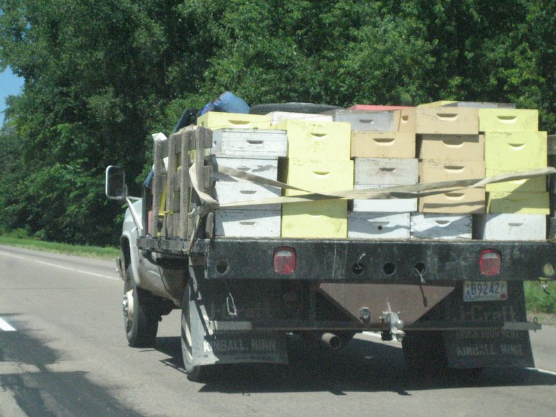 File:Beehives on the road.jpg