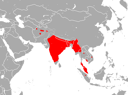 File:Blyth's Horseshoe Bat area.png