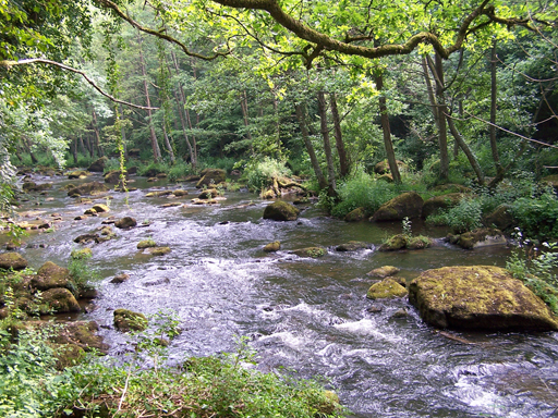 File:Gorges de la Rouvre.jpg