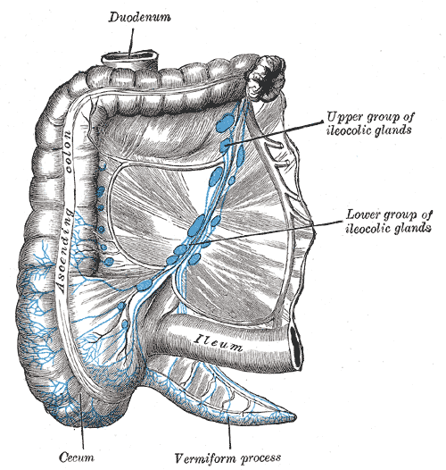 File:Gray615.png