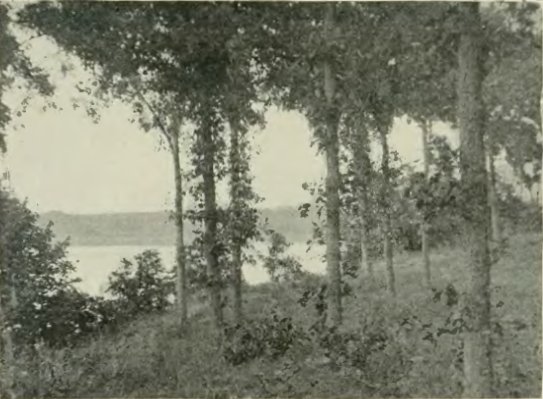 File:East Okoboji Lake - History of Iowa.jpg