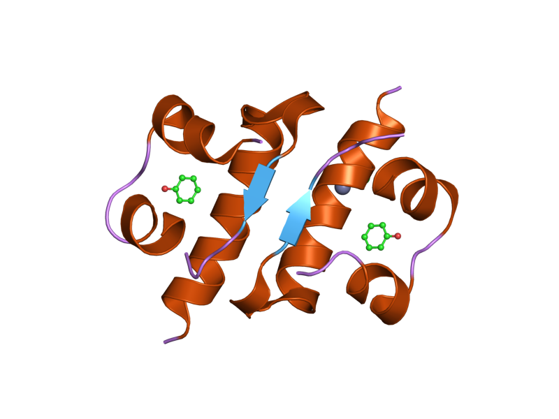 File:PDB 1xw7 EBI.png