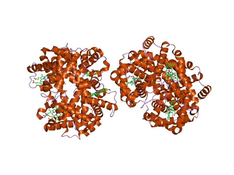 File:PDB 1yff EBI.jpg