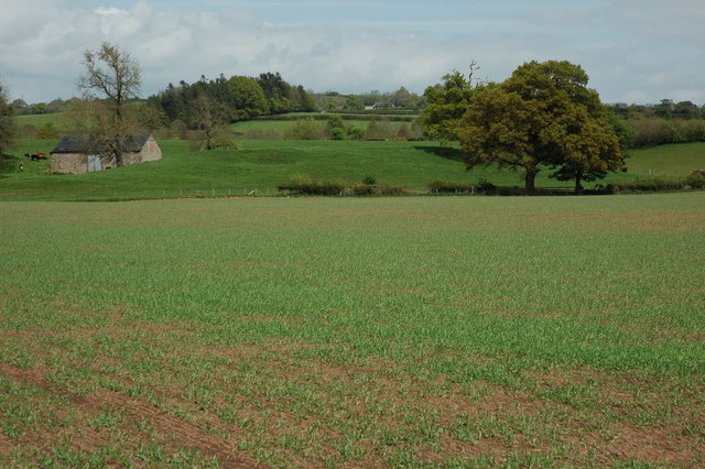 File:Site of Castle Arnold - geograph.org.uk - 1288672.jpg