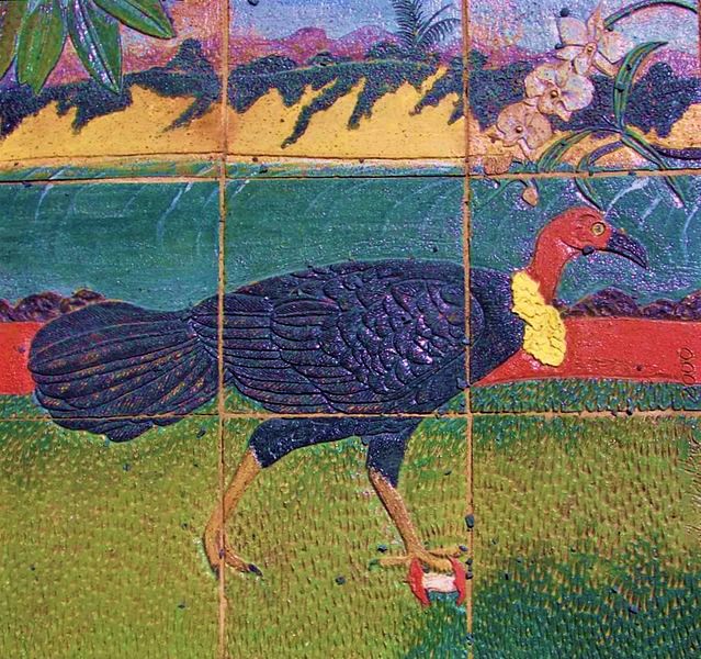 File:Brush Turkey on tiles.jpg