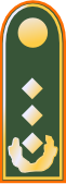 File:Bw331-Generalleutnant.png