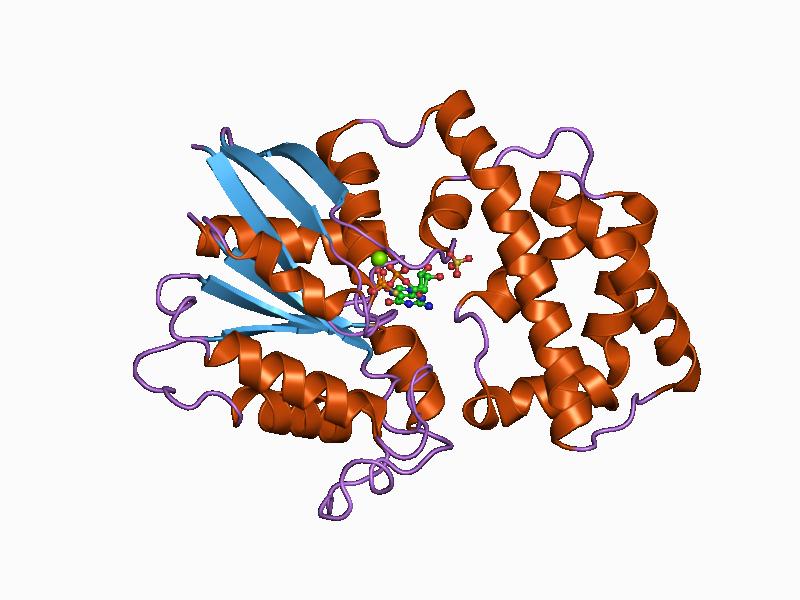 File:PDB 1as0 EBI.jpg