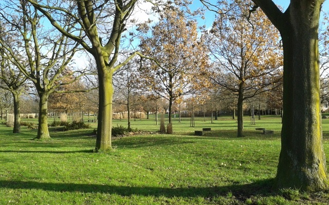 File:Park West, Kometenstraat, Hees, Nijmegen.jpg