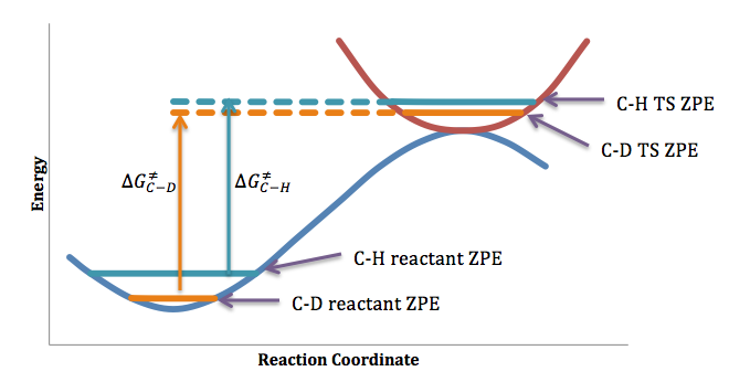 File:C-H and C-D bond breaking.png