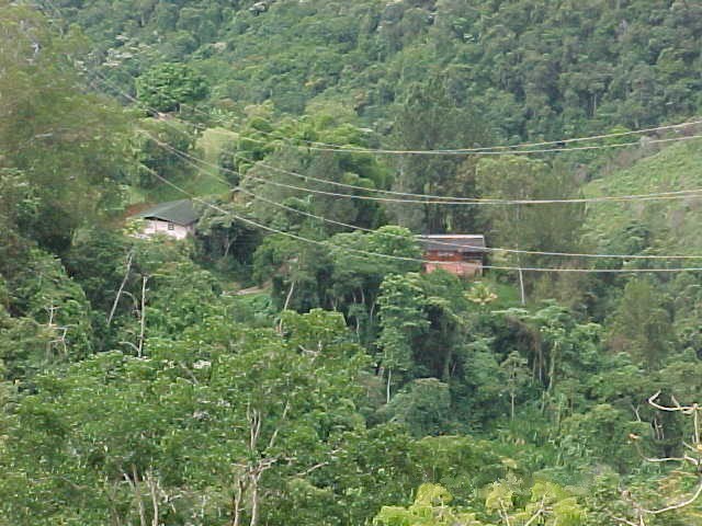 Archivo:LA MATA ZONA RURAL DE EL HATILLO.jpg