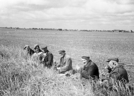 File:Nieuw-Scheemda-Schaftende landarbeiders ca. 1955.jpg