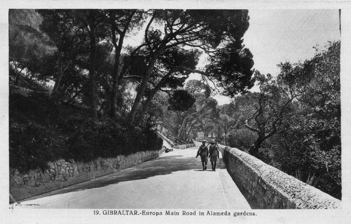 File:Europa Main Road, Alameda Gardens.jpg