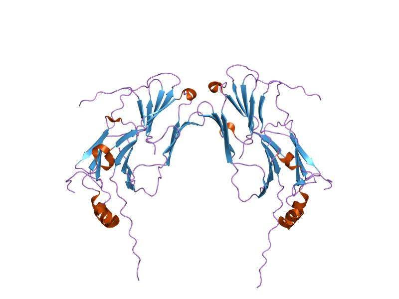 File:PDB 1gme EBI.jpg