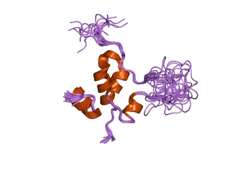 File:PDB 1pmx EBI.jpg