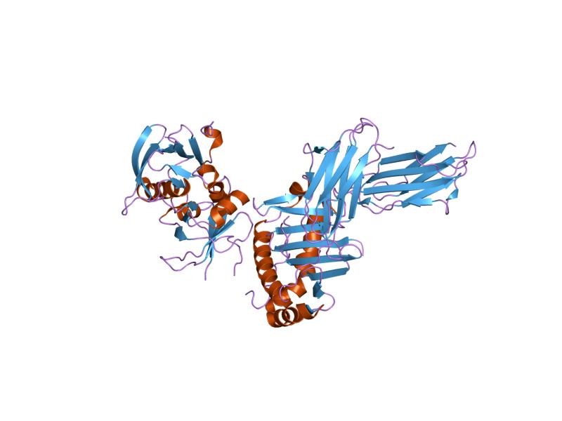 File:PDB 1sje EBI.jpg