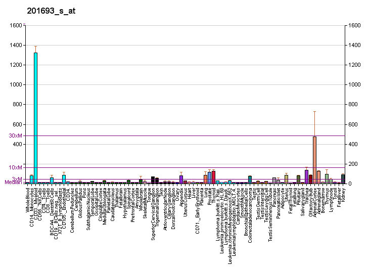 File:PBB GE EGR1 201693 s at fs.png