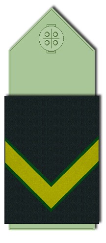 File:Pala Sargento 2° de Gendarmería.jpg