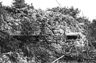 Файл:Peleliu-defense-194409.jpg