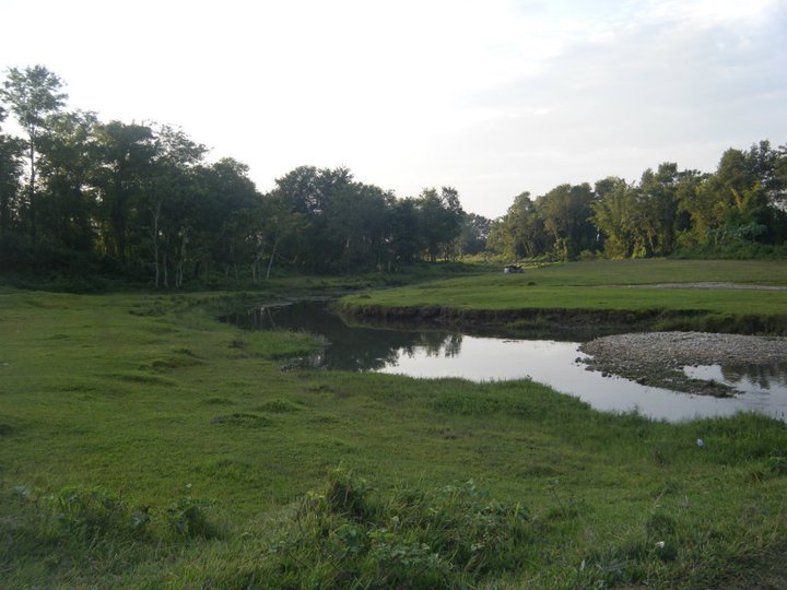 File:River and green field of Janakpur.jpg