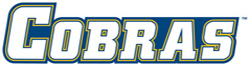 5A OfficialSecondaryWordMark