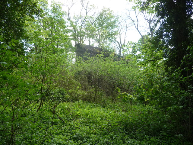 File:Part of the remains of Blaenllyfni Castle 3480079 f5566f1b.jpg