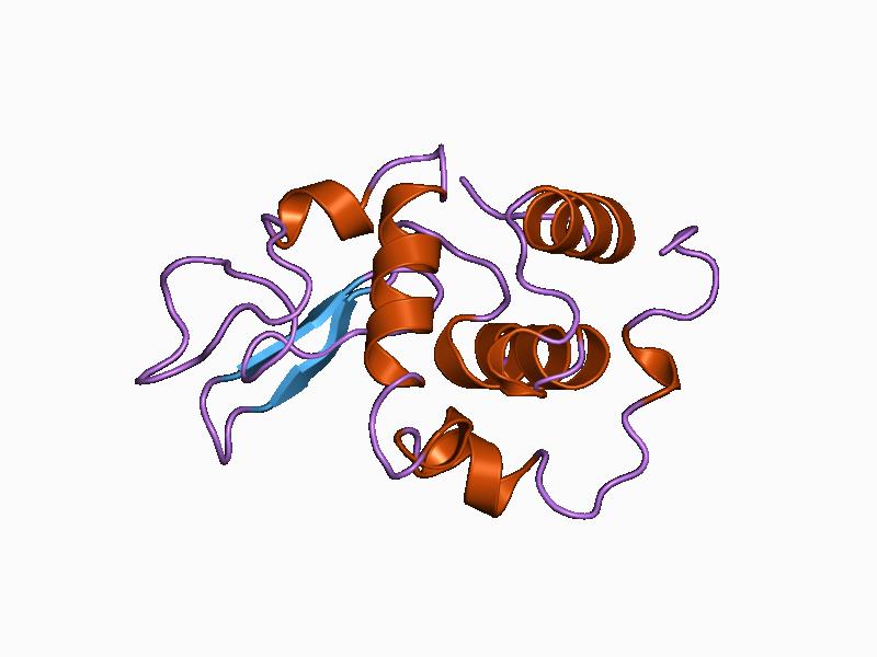 File:PDB 1b7n EBI.jpg